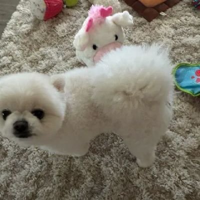 clara_sara77028's profile picture. 