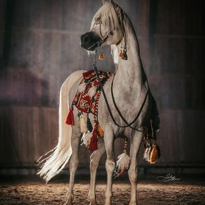 R11e6w's profile picture. 