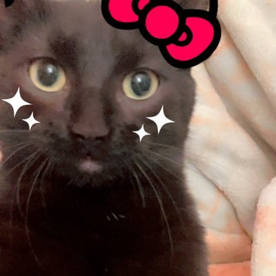 ravenizcool's profile picture. i love food and video gaming and i hate everything else