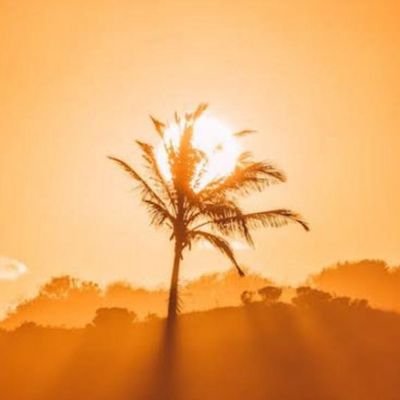 Bigace_15's profile picture. Damn
