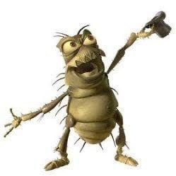 shroominatireal's profile picture. 