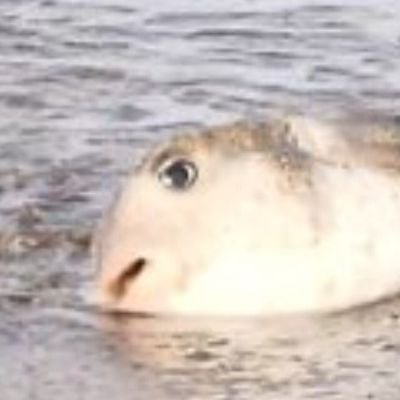 小波さんのプロフィール画像