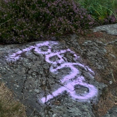 polaristarxe's profile picture. below the ground