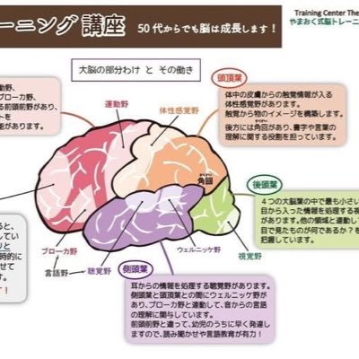 寝てるか⁈起きてるか⁈覚醒状態の夢の中で紫色の洞窟が見える事があります。その洞窟の向こう側に見えたものは…笑。実は僕は手の神さまの末裔なのです!