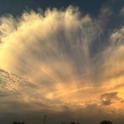 andupward4444's profile picture. 