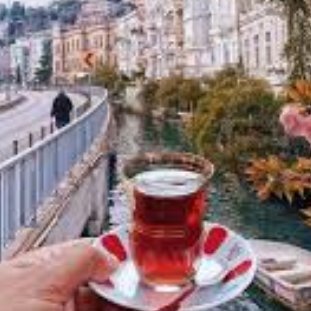 Ergin1189272's profile picture. Gidiyorum ...............