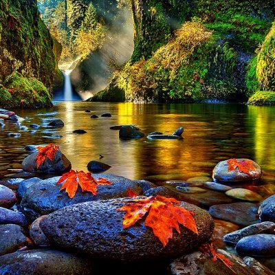 Maham6511217841's profile picture. Le positif attire le positif.