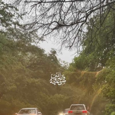 SalimTabook9083's profile picture. 