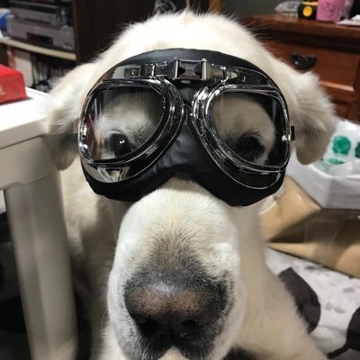 qoojackCharLu's profile picture. 