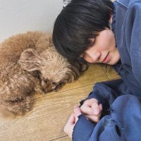 카시오레 (@_soconashi) 's Twitter Profile