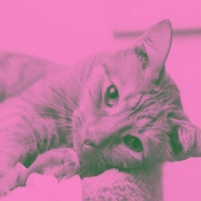 sayug_rena's profile picture. hii 👋