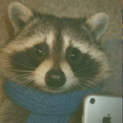manueldotme's profile picture. Design Engineer