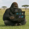 gorilla0513's profile picture. https://t.co/N3cL9I9qLd https://t.co/dEHfYnrqdN https://t.co/FRLA8zuF9y #wasm #go #rust #typescript #vim #deno #k8s #react #nodejs