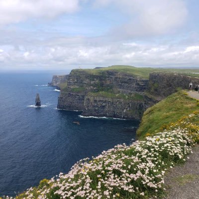 shannonL_kelley's profile picture. 