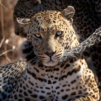 TunjiTY's profile picture. Esoteric||…SOC'ANT…||Mystic