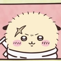 かもめ @運なし (@sivazuke23) 's Twitter Profile