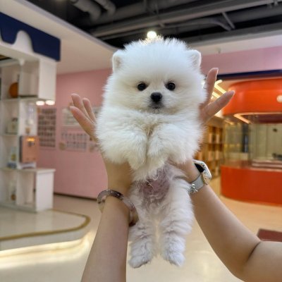 ZeynepD32095463's profile picture. Fierce like fire, calm like water. My strength is balance, my weapon is kindness, and my crown is faith.