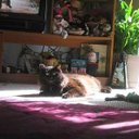 Adara Preble - @AdaraPrebl46910 - Twitter