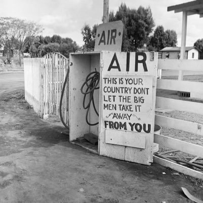 readonlytwittee's profile picture. 