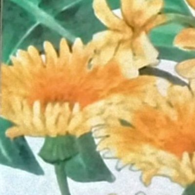 寿すばるさんのプロフィール画像