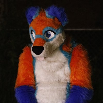 Malibu(Dutchie) / Nurko(Polar/Red panda) / Ace (Dog) Multifursuiter, 24, 18+, Nursing Student going for my RN, SC fur, originally from PA. Taken