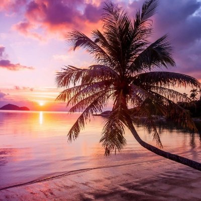 lunaforpotus's profile picture. 