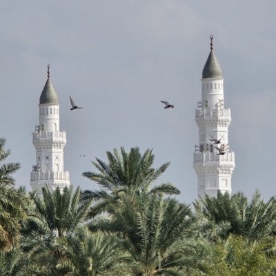 lavtrie's profile picture. في ظل رحمة الله | ﴿ تَوَفَّنِي مُسْلِمًا وَأَلْحِقْنِي بِالصَّالِحِينَ ﴾