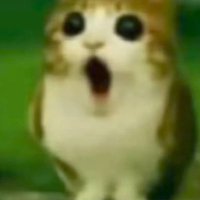 π (@mothcoffee_) 's Twitter Profile