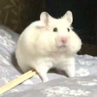 :) (@mytbel) 's Twitter Profile