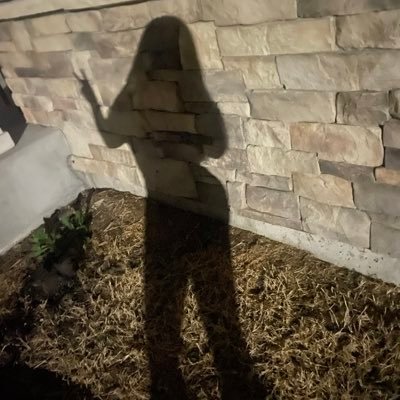 chellyyestella's profile picture. 