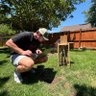 adamc0dez's profile picture. software engineer