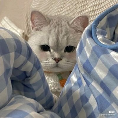 alforwonu's profile picture. 💎 @pledis_17 🌊🌍 @wave_to_earth and 📚s enthu