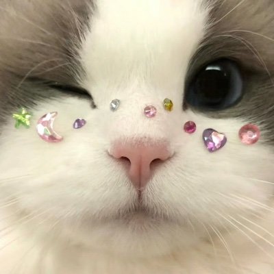 れあさんのプロフィール画像