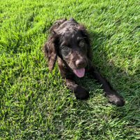 brianna jones (@brijones03) 's Twitter Profile