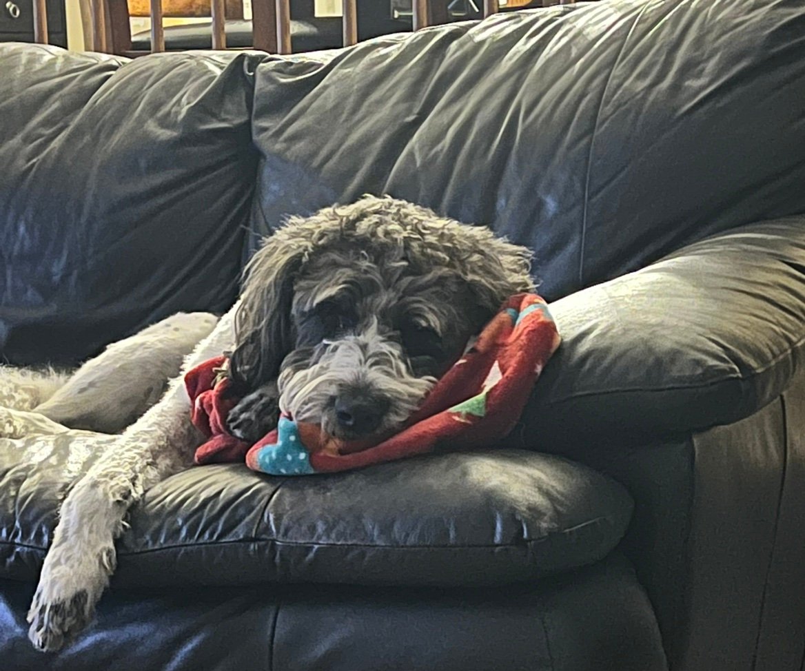 CathyBerd's profile picture. 