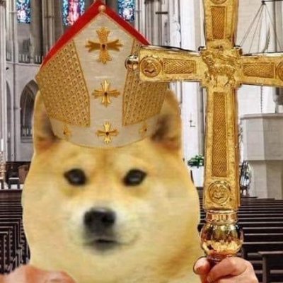 PapalDoge's profile picture. Update: I have been muted for 12+ hours lol.

I will repost often, my apologies;
I have no goal beyond shilling for the ~diverse~ chud diaspora.