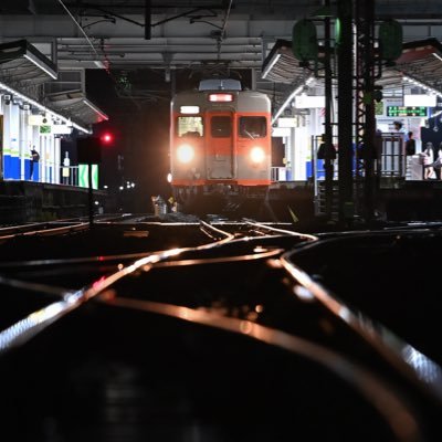 mt_funnyphoto's profile picture. ウンコマン