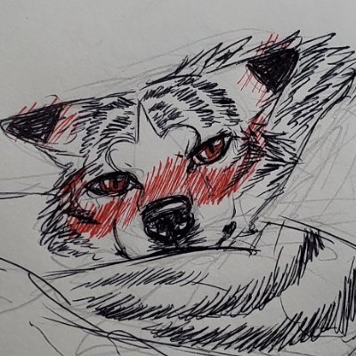 Zero/Akatora, 24↑, he/ze, SE Asian, FUB free, R18 fandom blog. A freaky furry ❤ MINORS DNI! I also talk about biology & human rights. NOT SPOILER-FREE!