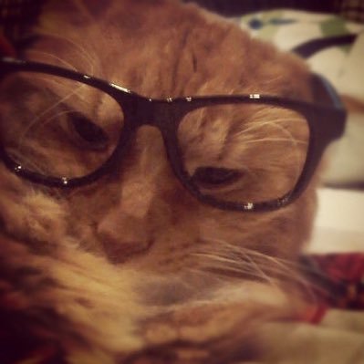 starboyleo96's profile picture. 