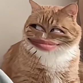 reversetotime's profile picture. 