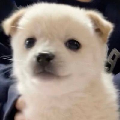 heene__'s profile picture. Only B