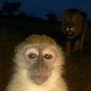 Columbusbleek's profile picture. mo betta