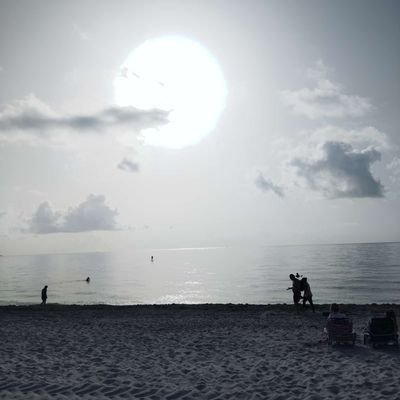 alejandra02321's profile picture. 