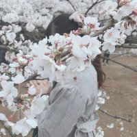 めあ (@kumarun1228) 's Twitter Profile