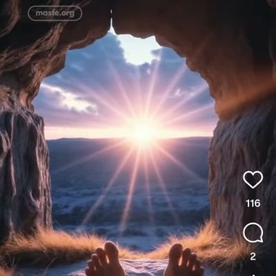 AngelArmi3's profile picture. Diveetirme