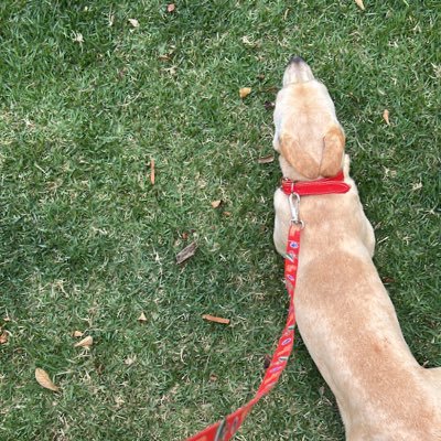 Eduardo_Jr1503's profile picture. 