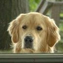 Diana Patrick - @dianapatrick99 - Twitter