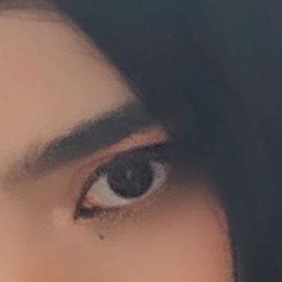 serenaesque's profile picture. live a little.