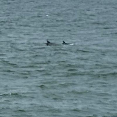 bobbie90611257's profile picture. 