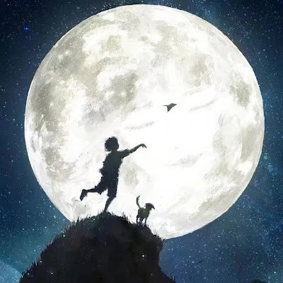 YiqianWang78978's profile picture. 